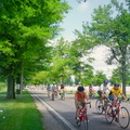 Bike Lexington, 2010